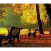 Lourdes Suyo's photo