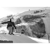 Federico Soldani's photo