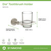Dia Metal Toothbrush Holder with Removable Tumbler, Satin Nickel