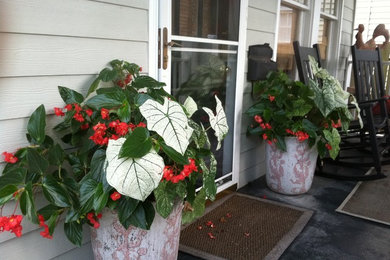 Inspiration for a landscaping in Charleston.