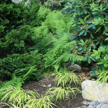 Dry creek bed planting