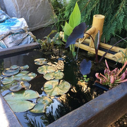 Water Gardening - Outdoor Fountain And Pond Accessories