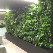 Biophilia Ideas