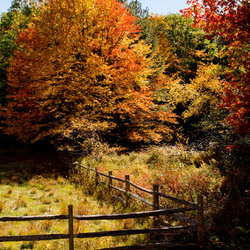 Autumn Decor & New England Road Trip