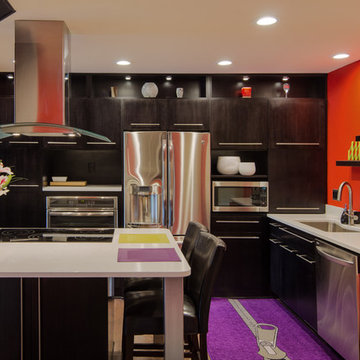 Ann Arbor Kitchen Remodel: Modern Meets Funky