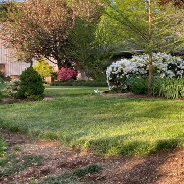 Curb Appeal