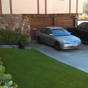 Tropical Front Yard Installation