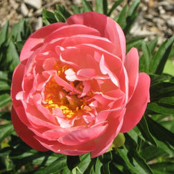 Re-opening Spring 2016  Weekends beginning April 16, 2016 - Products