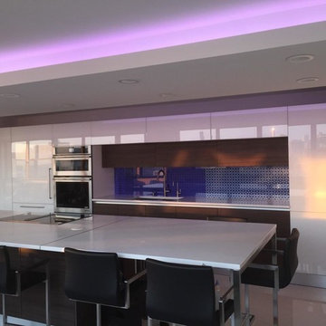 Lincoln Park Condo Renovation