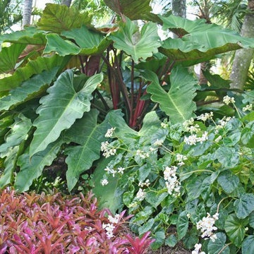 Redland Garden | Homestead, Florida