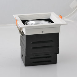 LED down light - Ceiling Lighting