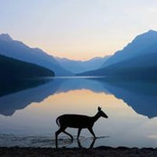 Denise Cross's photo