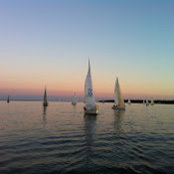 Peter Newton's photo