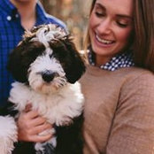 Anna Spoelhof's photo