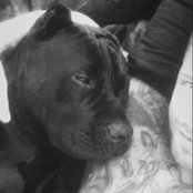 Alex Pilon's photo