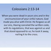 Thomas Rogers's photo
