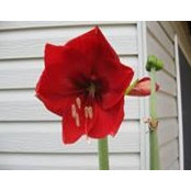 Mary McGuire's photo
