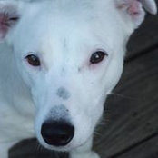 Lesley McKendrick's photo