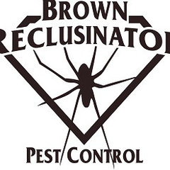 Brown Reclusinator Pest Control