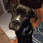 Ashley McLain's photo