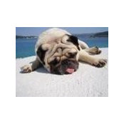 Dee O'Neill's photo