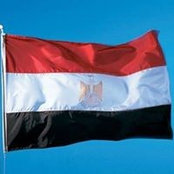 Hatem Darweesh's photo
