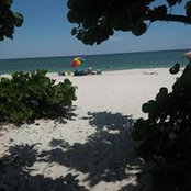 Sharon Kubacki's photo