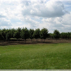 Nursery and Garden Center - Gardening And Lawn Care
