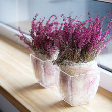 windowsill