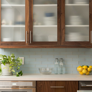 Modern Walnut Kitchen Remodel