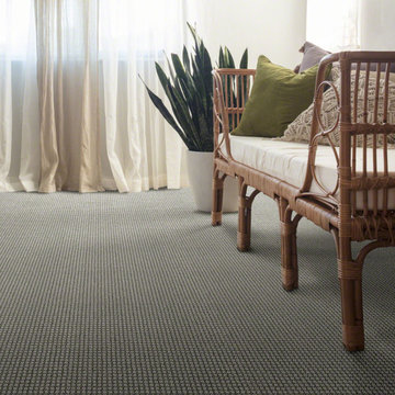 Pet Friendly Carpet
