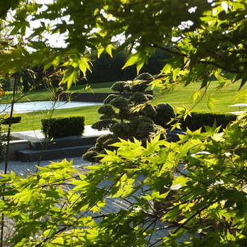 Contemporary Japanese garden