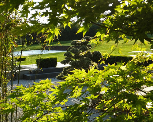 Contemporary Japanese Gardens | Houzz