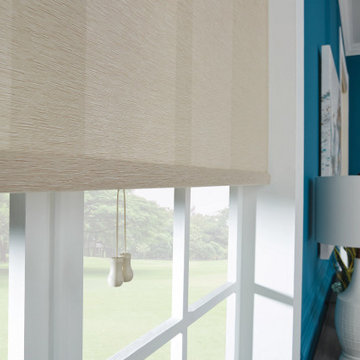 Roller Shades for Residential and Commercial Spaces