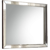 Acme Mirror in Platinum Finish 24844