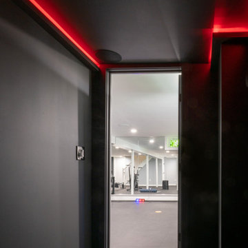 Sleek Basement Gym and Meditation Room