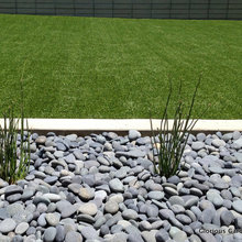 Drought tolerant yards