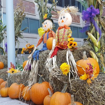 Fall Decor