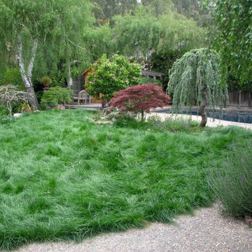 Mow free lawn area with asian inspired design