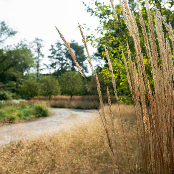 Fall blonde of Feather Reed Grass in stacked grass entry