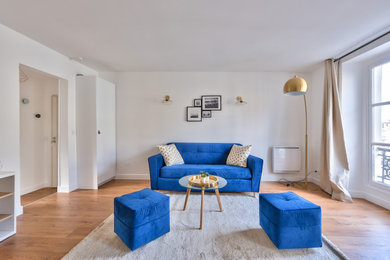 Cette image montre un salon minimaliste.