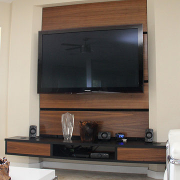 Wall Media and entertainment center