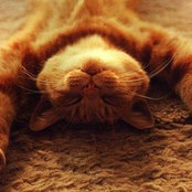 Lucy NGO's photo