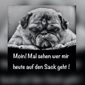 Steffi Kennt Ihr's photo