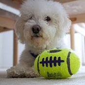 Bob Ballou's photo