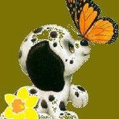 Pam Whitham's photo
