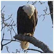 Lois Ruskell's photo