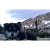 David DeLoera's photo