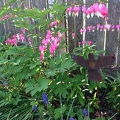 Pat Kidd-Butkus's photo