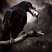 Ray Preusser's photo